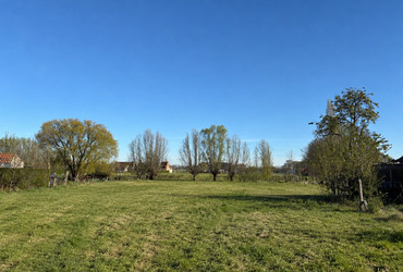 Bouwgrond in Maldegem