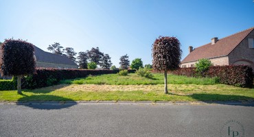 Bouwgrond in Maldegem